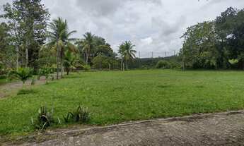 Imagem 4: Chácara maravilhosa em Aldeia, rua asfaltada, toda aproveitável, documentação ok!