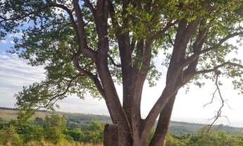 Imagem 6: Fazenda 15 alqueires em Anápolis - GO