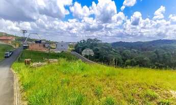 Imagem 2: Lote/Terreno para venda com 298 metros quadrados em Arruda - Colombo - PR