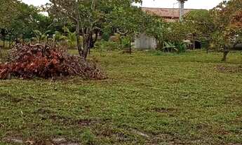 Imagem 2: Sítio para venda com 4,6 hectares em Canavieiras-BA