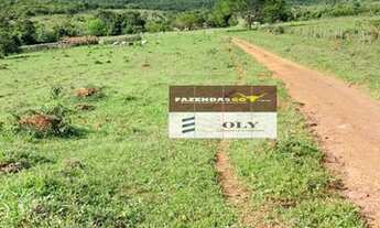 Imagem 6: Fazenda Extra na Região de Cristianópolis-GO ! 81 Alqueires ! Oportunidade