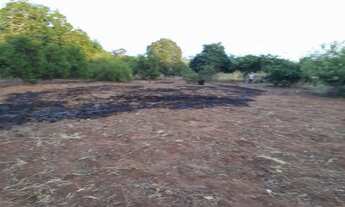 Imagem 5: Vendo terreno sítio Gavião de cima / /Palmeiras índios (Ideal pra fazer uma chácara )