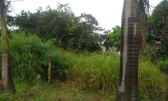 Imagem 3: Vendo Terreno de 9.154 M² no Vila Maria Luiza