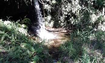 Imagem 3: Sítio 12 Hectares Bom Jardim -Sítio 16 Hectares Liberdade