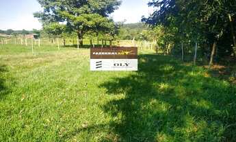 Imagem 6: Excelente Fazenda em Campestre - GO ! oportunidade ! 6 Alqueires !