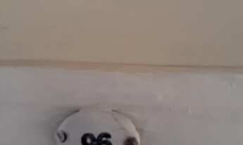 Imagem 4: Kitnet/conjugado para aluguel possui 35 metros quadrados com 1 quarto em Liberdade - São P