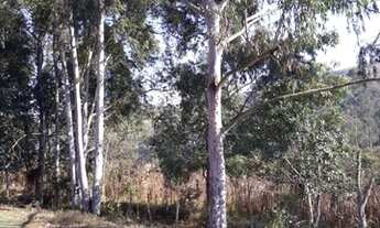 Imagem 6: Sítio 48 Hectares -Sítio 93 Hectares Arantina