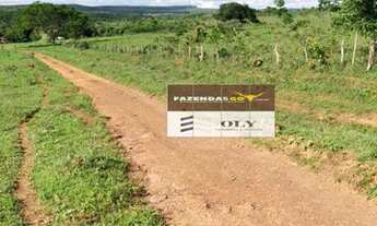 Imagem 5: Fazenda Extra na Região de Cristianópolis-GO ! 81 Alqueires ! Oportunidade