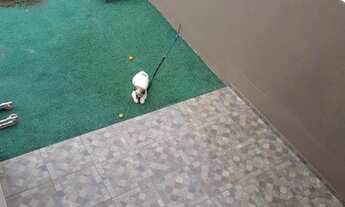 Imagem 4: Casa 3 suítes 4 box