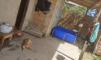 Imagem 4: Vendo se essa cassa .troca com carro aberto