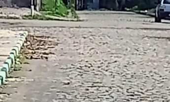 Imagem 4: Vendo ou troco por carro