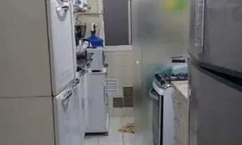 Imagem 7: GUARULHOS - Apartamento Padrão - Vila Endres