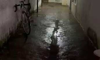 Imagem 5: Aluguel casa Casa com 2 dormitórios