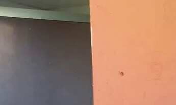 Imagem 2: Aluga-se kit Net no Guamá, 400 reais