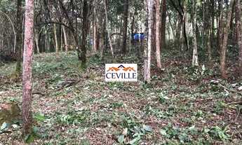 Imagem 7: Lote de 5000 m², Pasárgada