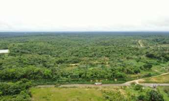 Imagem 2: Terreno Rio Preto com 270hectates