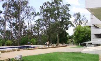 Imagem 7: EDF. COMENDADOR JOSÉ LOBO