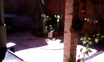 Imagem 5: Casa Padrão em São José do Rio Preto