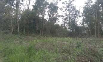 Imagem 4: Vendo terreno 660 mrts 12 por 30