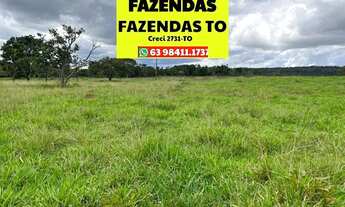 Imagem 4: Fazenda a venda dupla aptidão em Luzimangues Tocantins