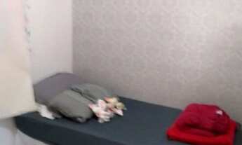 Imagem 7: APARTAMENTO SEM CONDOMÍNIO à venda, 2 quartos, 1 suíte, VILA CECILIA MARIA - Santo André/S