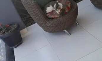 Imagem 7: Vendo excelente casa 2 pavimentos 11,50x26 m2, no Umarizal