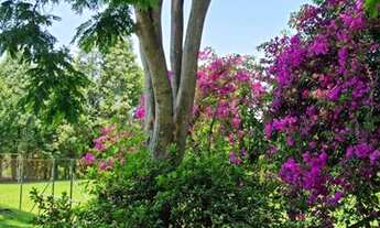 Imagem 5: Boituva - Chácara - Residencial Vitassay