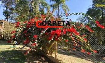 Imagem 5: ÓTIMA CHÁCARA EM IBIÚNA-SP - cód. 592