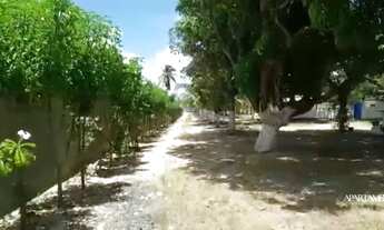 Imagem 7: Casas e um verdadeiro sítio a Beira Mar na Praia de Lucena, você pode empreender