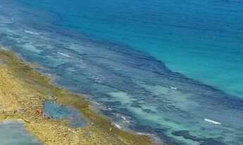 Imagem 3: Studio em Praia dos Carneiros - Tamandaré - PE