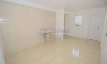 Imagem 5: Apartamento Padrão em Pelotas