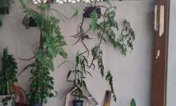 Imagem 2: CASA ASSOBRADADA - JARDIM SANTA CRUZ (CAMPO GRANDE) - SP