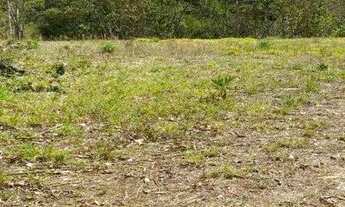 Imagem 3: Grande terreno no Loteamento da Quiaca