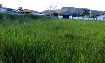 Imagem 4: Terreno para chácara