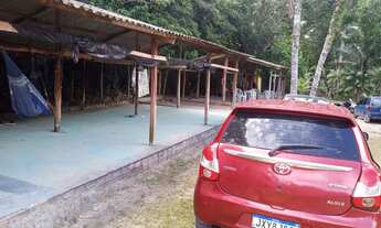 Imagem 2: Sitio manancial Chácara com aluguel com preço sob consulta