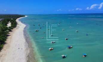 Imagem 5: Área de 30.000m² com 100 metros de frente para o mar em São Miguel dos Milagres-AL