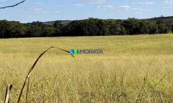 Imagem 6: FAZENDA À VENDA - 165 HECTARES - REGIÃO DE CURVELO (MG