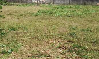 Imagem 7: Lote/Terreno para venda possui 500 metros quadrados em Cacau Pirera - Iranduba - AM