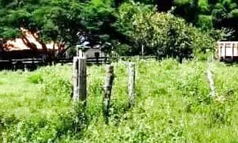 Imagem 2: Fazenda de Oportunidade em Ivolândia - GO