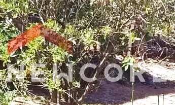 Imagem 4: Lote em Rua dos Pianos - Estâncias Imperiais - Contagem/MG