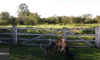 Imagem 5: Sítio 1 dormitórios à venda Pedreira Nova Santa Rita/RS