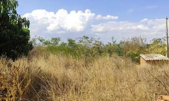 Imagem 5: Vende-se Lote 7,5 Hectares - Irrigado! No Projeto Jaíba MG