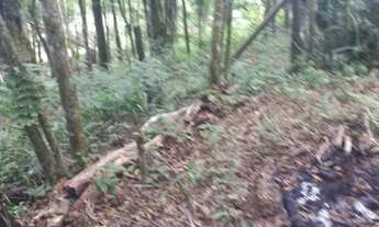 Imagem 4: Vendo Área com 900m , faço 35 mil de entrada, próximo, 11km Curitiba