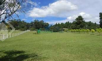Imagem 6: Velleda oferece belo sítio escriturado com bela casa, piscina e quiosque em Viamão