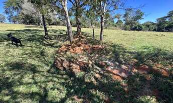 Imagem 3: Chácara 05 alqueires