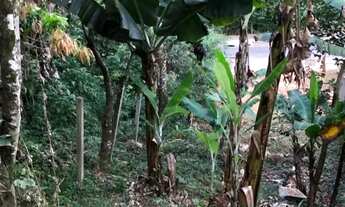 Imagem 5: EXCELENTE CHÁCARA ISOLADA 4.500 METROS - CHÁCARAS SÃO LUIS - AVENIDA BRASIL SANTANA DE PAR