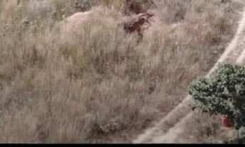 Imagem 2: Mina / jazida de Diamantes em Chapada dos Guimarães MT