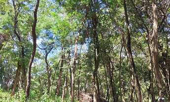 Imagem 6: Chácara 1000m com lagoa