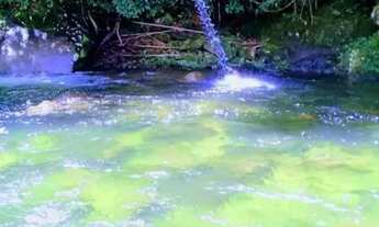 Imagem: Carnaval na casa e chalé da cachoeira 5