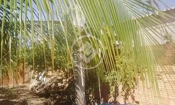 Imagem 3: CASA NA REGIAO DO CRISTO REI SENDO VENDIDA POR PREÇO DE OCASIÃO codigo: 107067